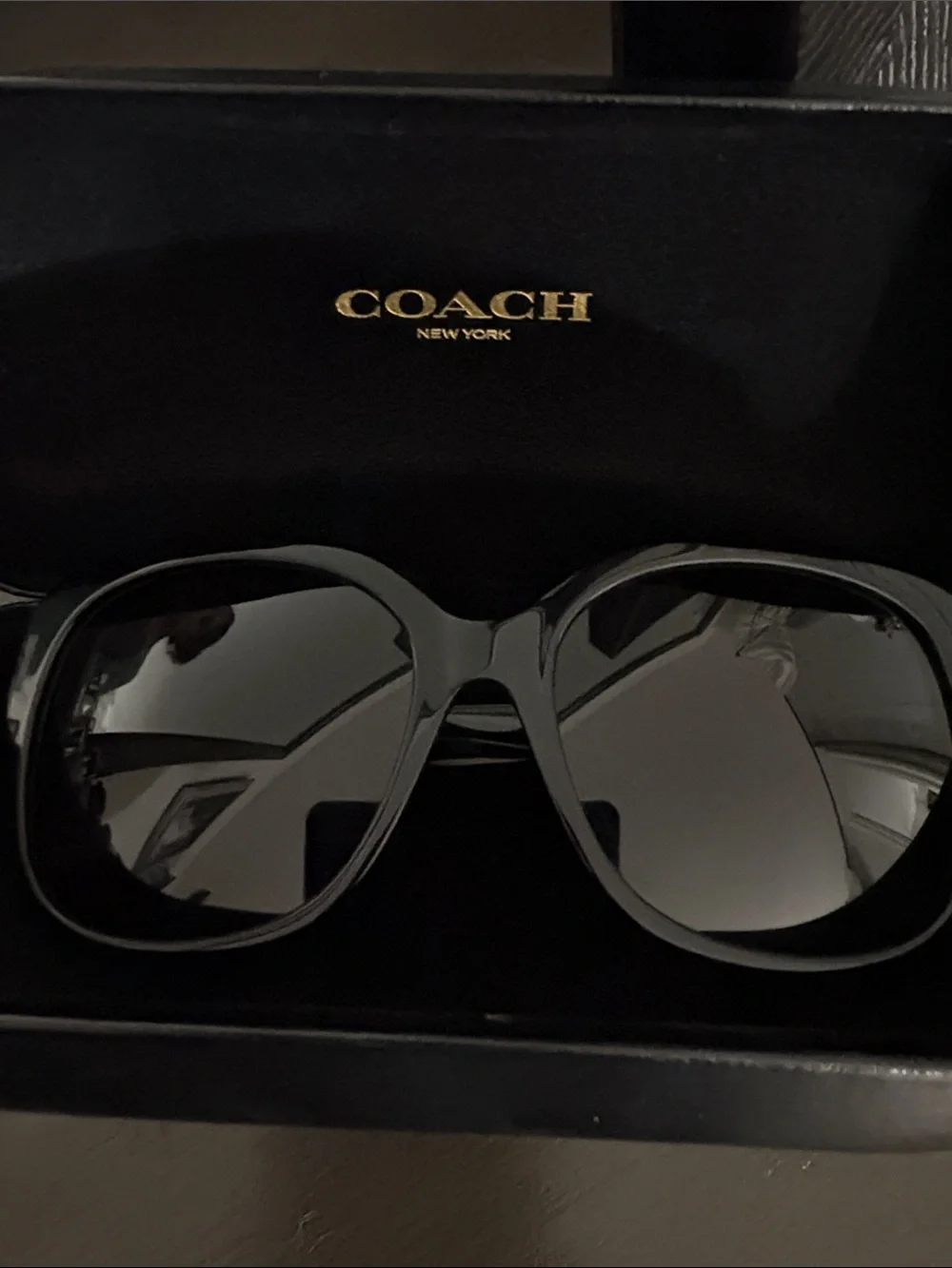 Coach Black Oversized Women's Sunglasses with Dark Lenses